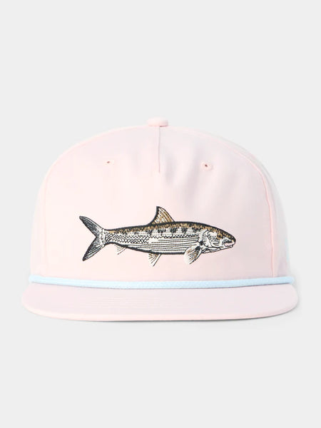 Bonefish Hat - Conch