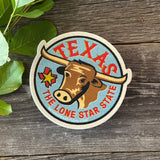 Texas Lone Star State Sticker