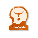 University of Texas