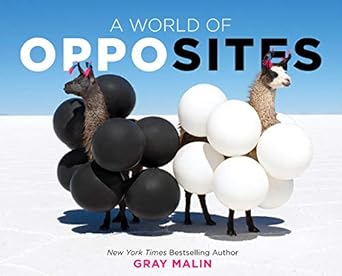 World Of Opposites