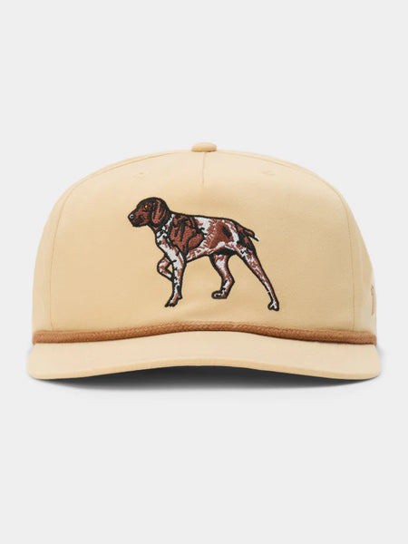 Pointer Hat - Croissant