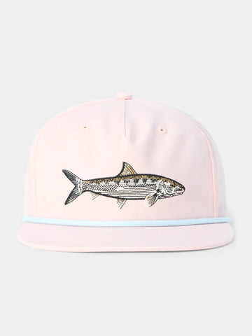 Bonefish Hat - Conch
