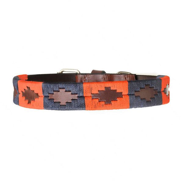 Pampeano_Dog_Collar_Audaz