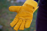 Brisket Supply Work Gloves - Come and Take It