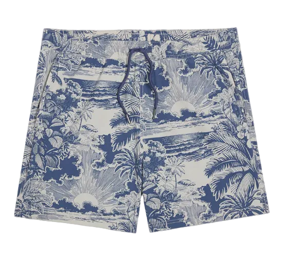 Bungalow Trunk - Silver Palms