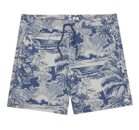 Bungalow Trunk - Silver Palms