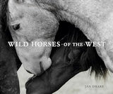 Wild Horses of West