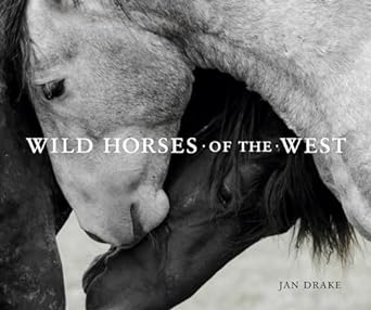 Wild Horses of West