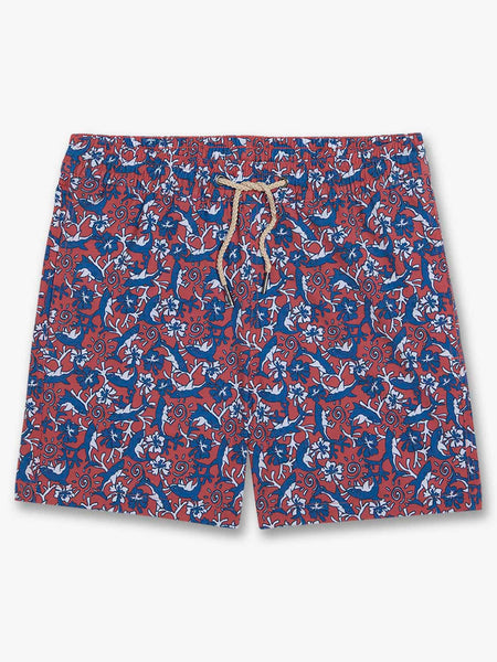 Kids Bayberry Trunk - Ditzy Sharks