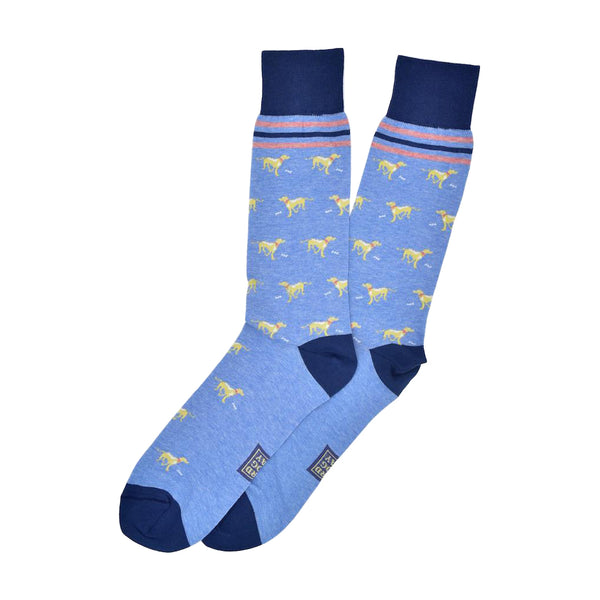 Bird_Dog_Bay_Lucky_Labs_Socks_Light_Blue_Yellow