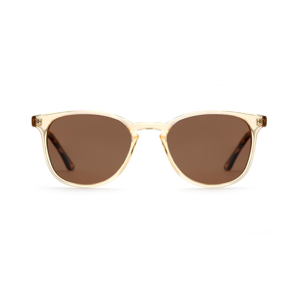 Krewe_Olivier_Champagne_Rue_Tortoise_Polarized