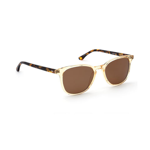 Olivier Champagne + Rue Tortoise Polarized