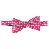 States & Stars Bow Tie - Red